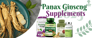Best-Quality-Panax-Ginseng-Supplements-in-India-in-2023